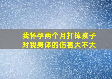 我怀孕两个月,打掉孩子,对我身体的伤害大不大