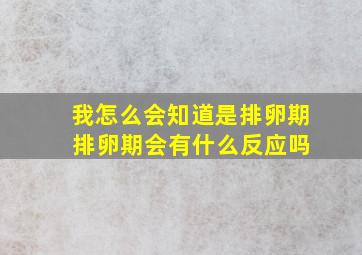 我怎么会知道是排卵期 排卵期会有什么反应吗