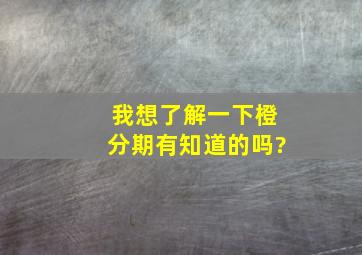 我想了解一下橙分期,有知道的吗?