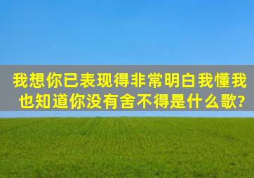 我想你已表现得非常明白,我懂我也知道你没有舍不得是什么歌?