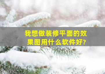 我想做装修平面的效果图,用什么软件好?