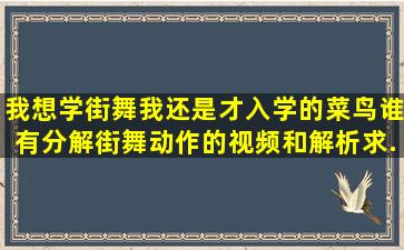 我想学街舞我还是才入学的菜鸟谁有分解街舞动作的视频,和解析,求...