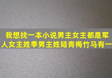 我想找一本小说。男主女主都是军人女主姓季男主姓陆,青梅竹马,有一