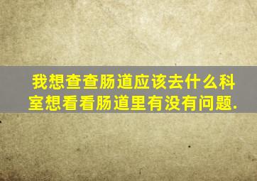 我想查查肠道应该去什么科室,想看看肠道里有没有问题.