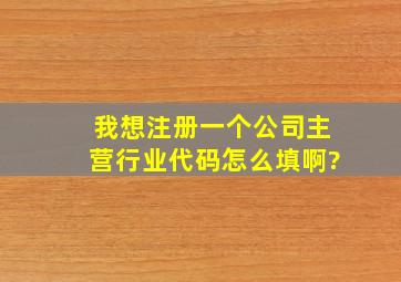 我想注册一个公司主营行业代码怎么填啊?