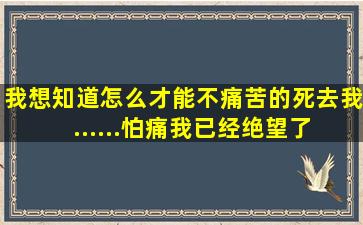 我想知道怎么才能不痛苦的死去,我 ......怕痛,我已经绝望了