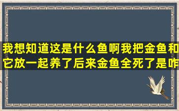 我想知道这是什么鱼啊,我把金鱼和它放一起养了,后来金鱼全死了,是咋...