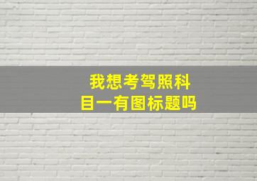 我想考驾照科目一有图标题吗