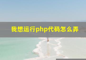 我想运行php代码,怎么弄