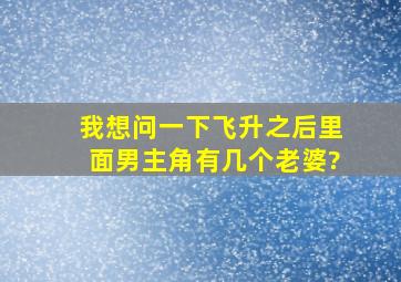 我想问一下《飞升之后》里面男主角有几个老婆?