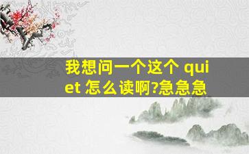 我想问一个这个 quiet 怎么读啊?急急急