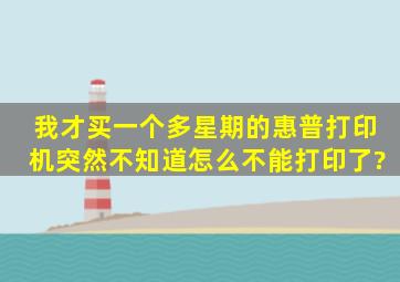 我才买一个多星期的惠普打印机突然不知道怎么不能打印了?