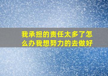 我承担的责任太多了,怎么办,我想努力的去做好