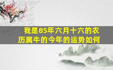 我是85年六月十六的(农历)属牛的今年的运势如何