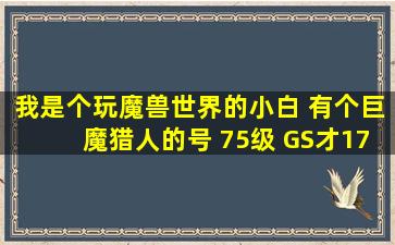 我是个玩魔兽世界的小白 有个巨魔猎人的号 75级 GS才1789 打战场和...