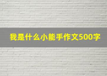 我是什么小能手作文500字