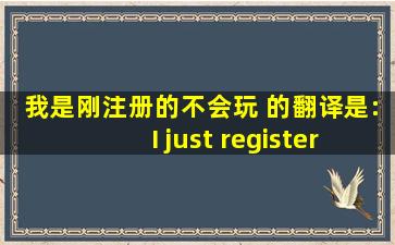 我是刚注册的,不会玩 的翻译是:I just registered, will not play...