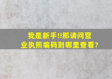 我是新手!!那请问营业执照编码到哪里查看?