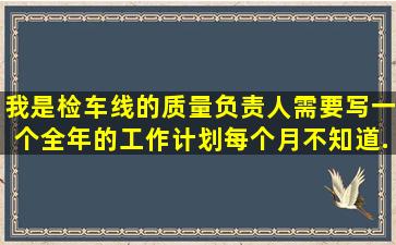 我是检车线的质量负责人,需要写一个全年的工作计划(每个月),不知道...