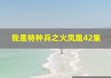 我是特种兵之火凤凰42集