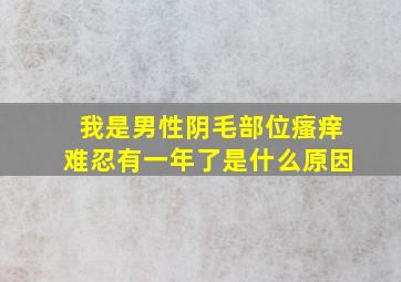 我是男性阴毛部位瘙痒难忍有一年了是什么原因