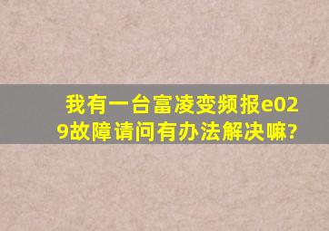 我有一台富凌变频报e029故障请问有办法解决嘛?