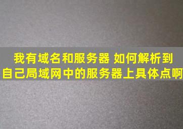 我有域名和服务器 如何解析到自己局域网中的服务器上,具体点啊