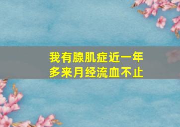 我有腺肌症近一年多来月经流血不止