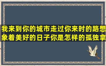 我来到你的城市走过你来时的路想象着美好的日子你是怎样的孤独拿着