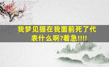 我梦见猫在我面前死了,代表什么啊?着急!!!!