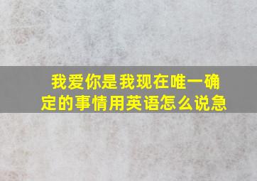 我爱你是我现在唯一确定的事情。用英语怎么说。急。