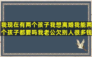 我现在有两个孩子我想离婚我能两个孩子都要吗(我老公欠别人很多钱