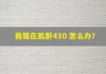 我现在肌酐430 怎么办?