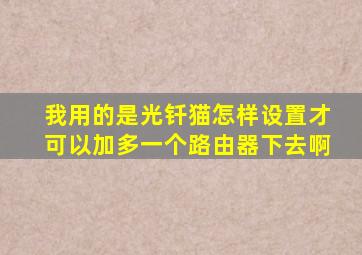 我用的是光钎猫,怎样设置才可以加多一个路由器下去啊