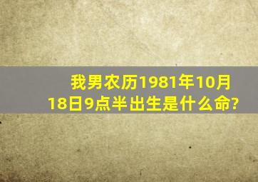 我男农历1981年10月18日9点半出生是什么命?