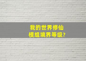 我的世界修仙模组境界等级?