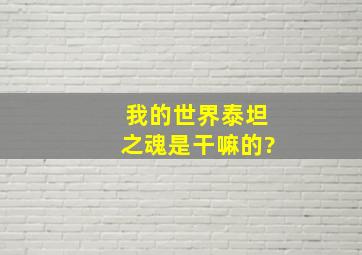 我的世界泰坦之魂是干嘛的?