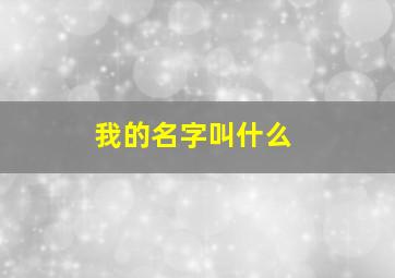 我的名字叫什么