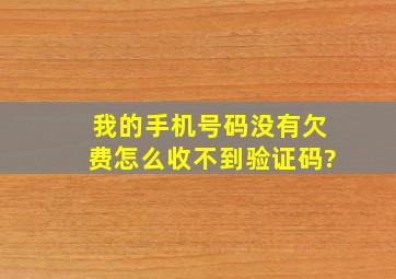 我的手机号码没有欠费怎么收不到验证码?