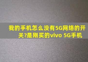 我的手机怎么没有5G网络的开关?是刚买的vivo 5G手机。