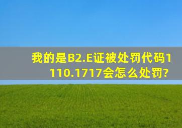 我的是B2.E证,被处罚代码1110.1717会怎么处罚?