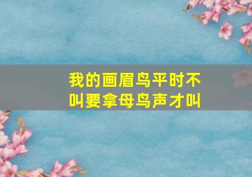 我的画眉鸟平时不叫要拿母鸟声才叫(