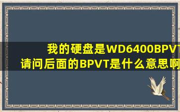 我的硬盘是WD6400BPVT请问后面的BPVT是什么意思啊和500的那个...