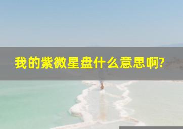 我的紫微星盘什么意思啊?