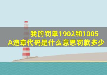 我的罚单1902和1005A违章代码是什么意思(罚款多少(