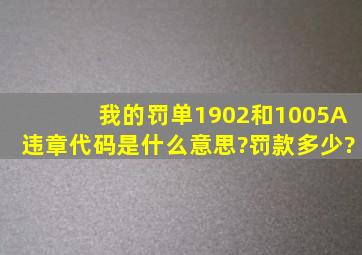 我的罚单1902和1005A违章代码是什么意思?罚款多少?