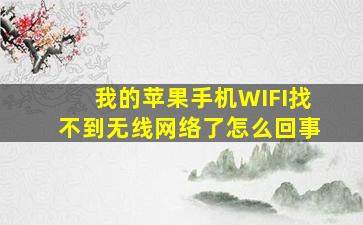 我的苹果手机WIFI找不到无线网络了怎么回事