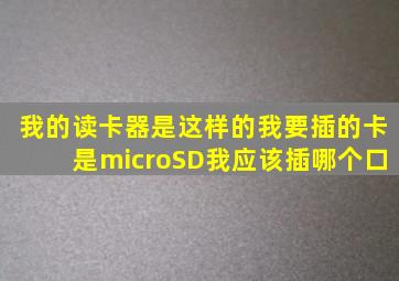 我的读卡器是这样的我要插的卡是microSD我应该插哪个口(