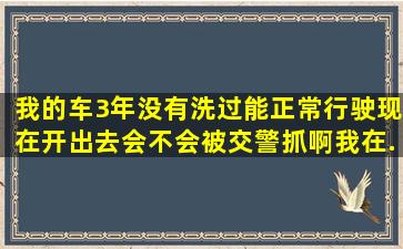 我的车3年没有洗过,能正常行驶,现在开出去会不会被交警抓啊,我在...