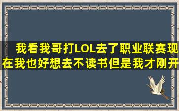 我看我哥打LOL去了职业联赛,现在我也好想去,不读书,但是我才刚开始...